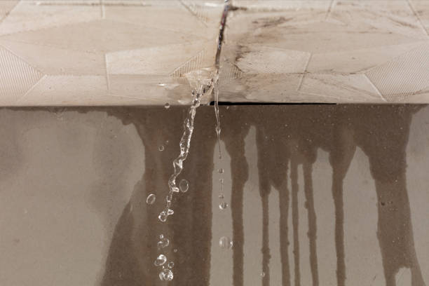 Professional Water Damage Inspection technician working in Smithfield, NC